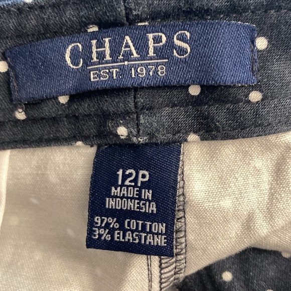 NWT CHAPS POLKA DOT SKIRT - Picture 4 of 4